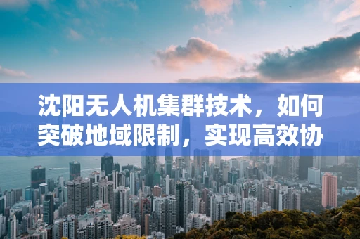 沈阳无人机集群技术，如何突破地域限制，实现高效协同？