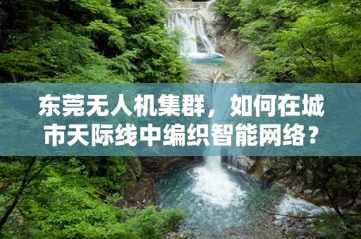 东莞无人机集群，如何在城市天际线中编织智能网络？