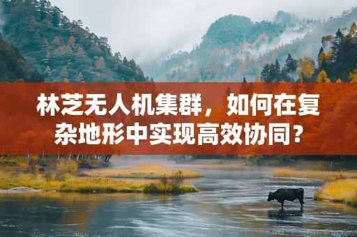 林芝无人机集群，如何在复杂地形中实现高效协同？