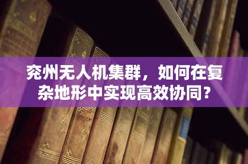 兖州无人机集群，如何在复杂地形中实现高效协同？