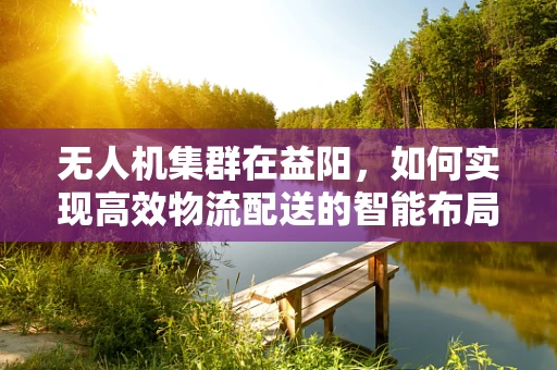 无人机集群在益阳，如何实现高效物流配送的智能布局？