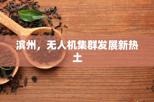 滨州，无人机集群发展新热土