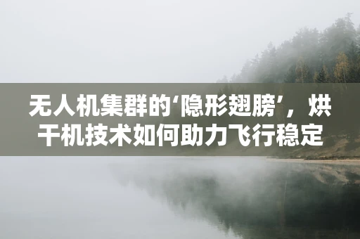 无人机集群的‘隐形翅膀’，烘干机技术如何助力飞行稳定性？