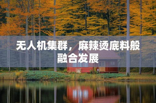 无人机集群，麻辣烫底料般融合发展