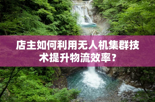 店主如何利用无人机集群技术提升物流效率？