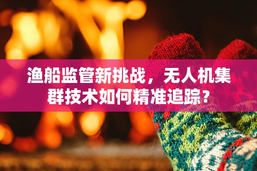 渔船监管新挑战，无人机集群技术如何精准追踪？