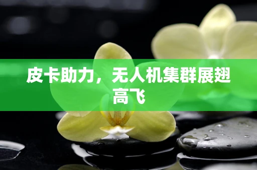 皮卡助力，无人机集群展翅高飞