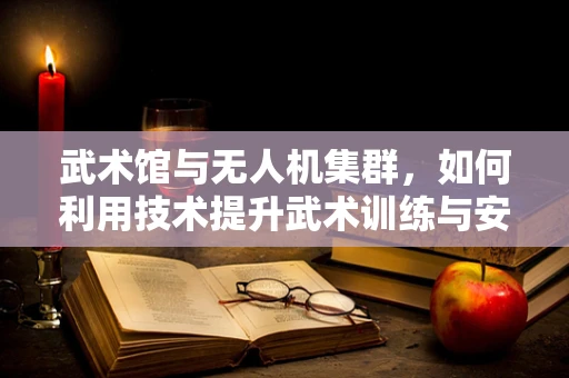 武术馆与无人机集群，如何利用技术提升武术训练与安全？