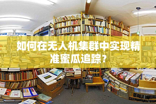 如何在无人机集群中实现精准蜜瓜追踪？