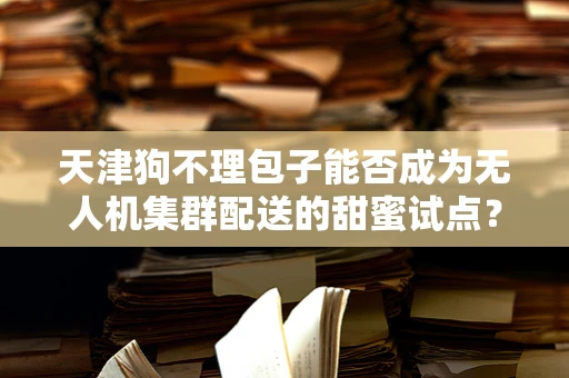 天津狗不理包子能否成为无人机集群配送的甜蜜试点？