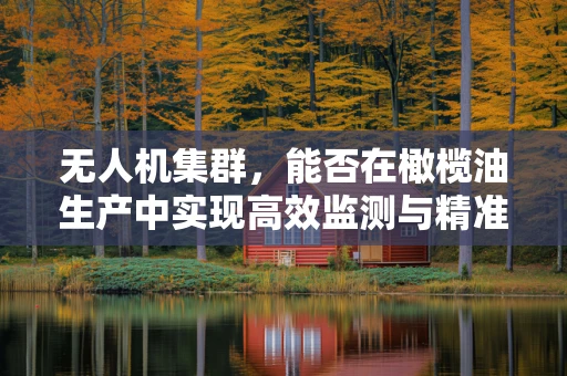无人机集群，能否在橄榄油生产中实现高效监测与精准喷洒？