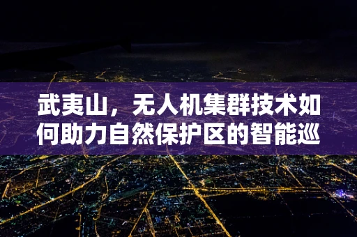 武夷山，无人机集群技术如何助力自然保护区的智能巡检？