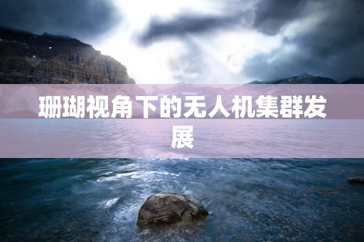 珊瑚视角下的无人机集群发展