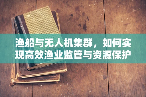 渔船与无人机集群，如何实现高效渔业监管与资源保护？