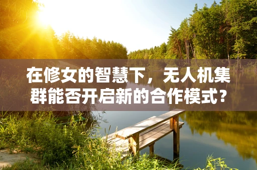 在修女的智慧下，无人机集群能否开启新的合作模式？