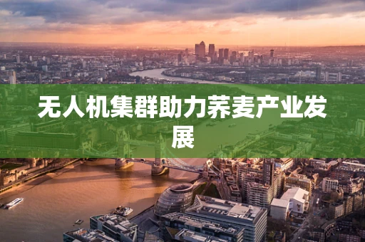 无人机集群助力荞麦产业发展