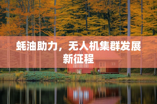 蚝油助力，无人机集群发展新征程