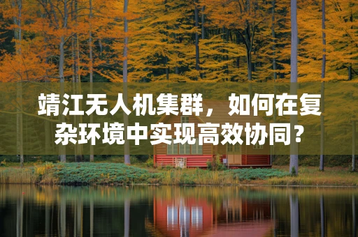 靖江无人机集群，如何在复杂环境中实现高效协同？