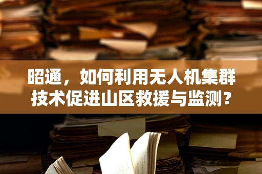 昭通，如何利用无人机集群技术促进山区救援与监测？