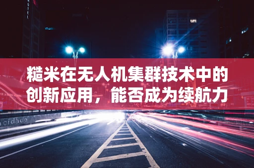 糙米在无人机集群技术中的创新应用，能否成为续航力的新粮仓？