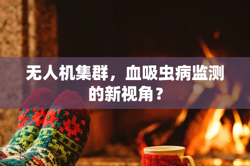 无人机集群，血吸虫病监测的新视角？