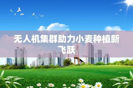 无人机集群助力小麦种植新飞跃