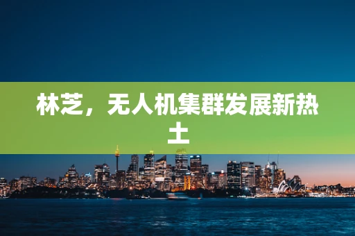 林芝，无人机集群发展新热土