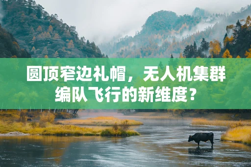 圆顶窄边礼帽，无人机集群编队飞行的新维度？