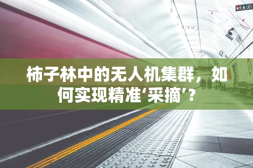 柿子林中的无人机集群，如何实现精准‘采摘’？