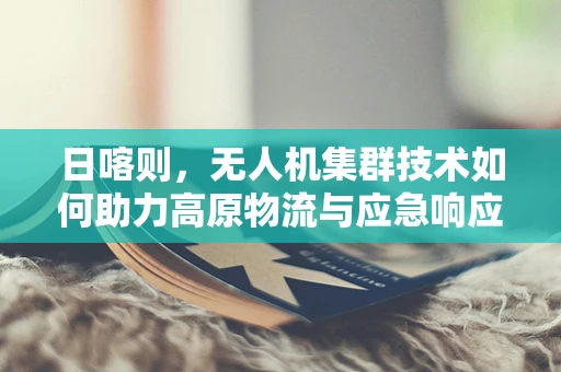 日喀则，无人机集群技术如何助力高原物流与应急响应的‘空中飞跃’？