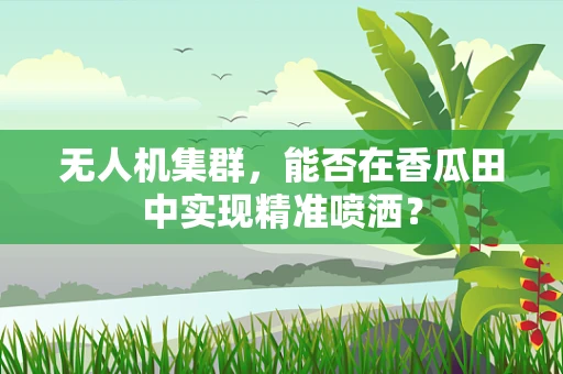 无人机集群，能否在香瓜田中实现精准喷洒？