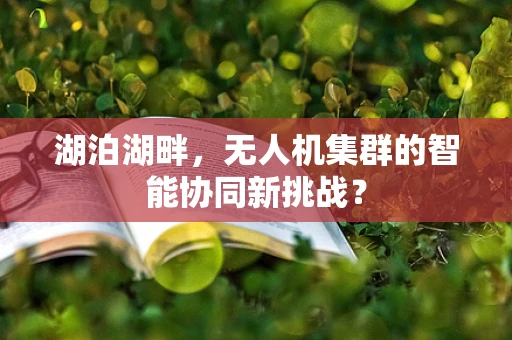 湖泊湖畔，无人机集群的智能协同新挑战？