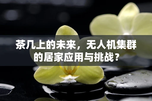 茶几上的未来，无人机集群的居家应用与挑战？