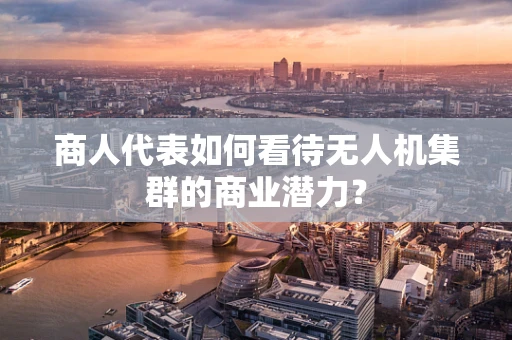 商人代表如何看待无人机集群的商业潜力？