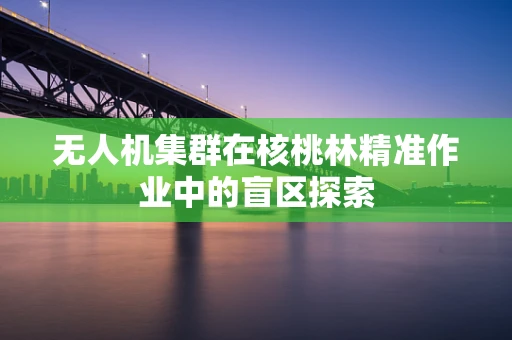 无人机集群在核桃林精准作业中的盲区探索