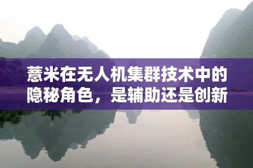 薏米在无人机集群技术中的隐秘角色，是辅助还是创新？