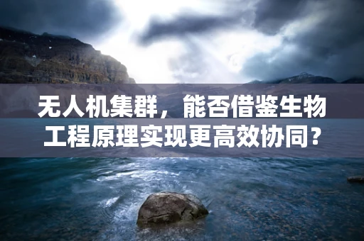 无人机集群，能否借鉴生物工程原理实现更高效协同？