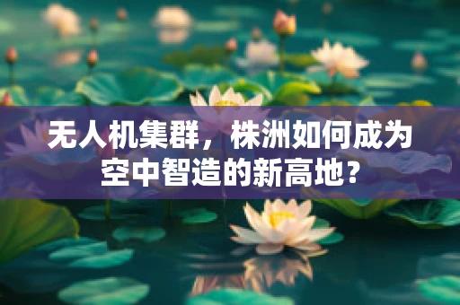 无人机集群，株洲如何成为空中智造的新高地？