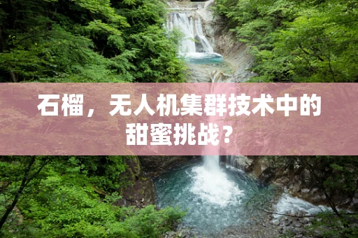 石榴，无人机集群技术中的甜蜜挑战？