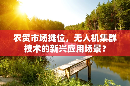 农贸市场摊位，无人机集群技术的新兴应用场景？