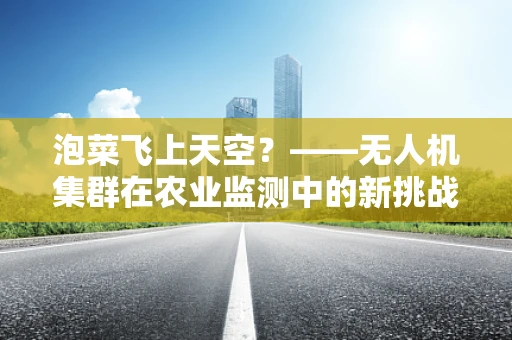 泡菜飞上天空？——无人机集群在农业监测中的新挑战