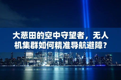 大葱田的空中守望者，无人机集群如何精准导航避障？