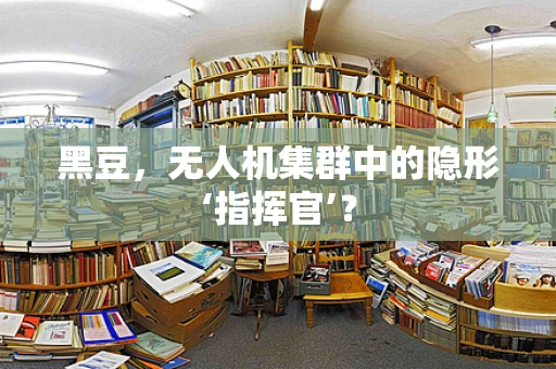 黑豆，无人机集群中的隐形‘指挥官’？