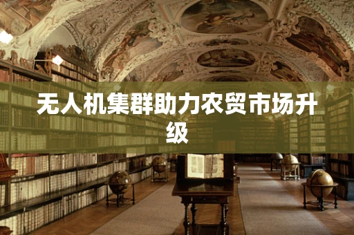 无人机集群助力农贸市场升级
