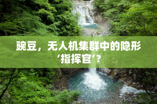 豌豆，无人机集群中的隐形‘指挥官’？