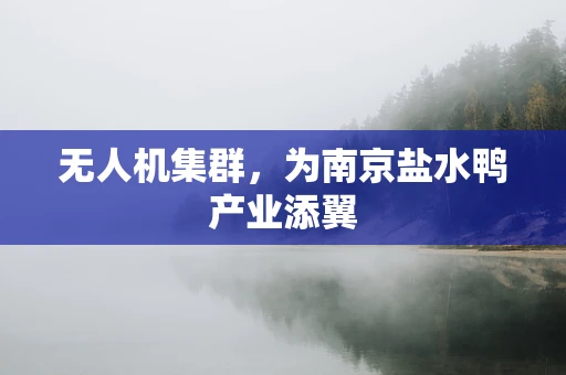 无人机集群，为南京盐水鸭产业添翼