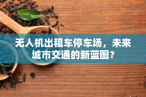 无人机出租车停车场，未来城市交通的新蓝图？