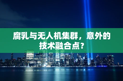 腐乳与无人机集群，意外的技术融合点？