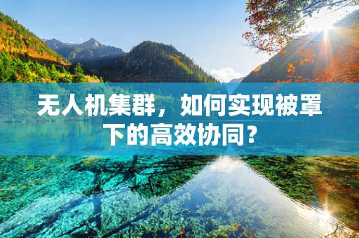 无人机集群，如何实现被罩下的高效协同？