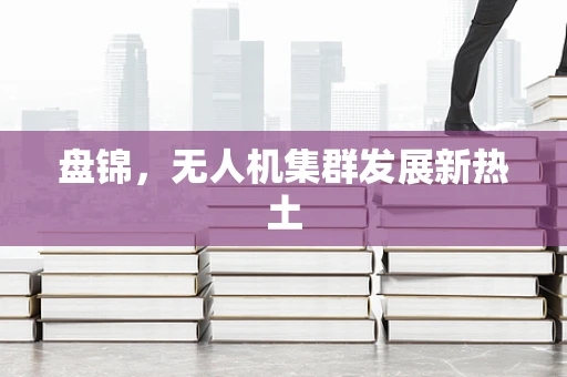 盘锦，无人机集群发展新热土